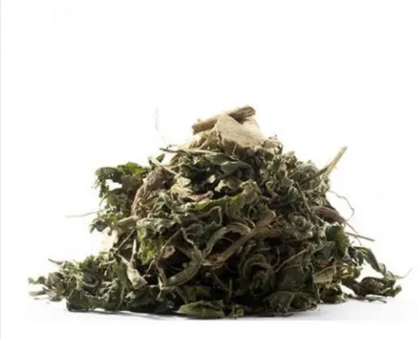 Wholesale Guinea Henweed Jamaican Herb