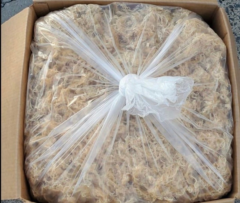 Vogaw 5lbs Seamoss Starter Pack + Ebook