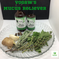 Vogaw’s Mucus Reliever  Dropper Size