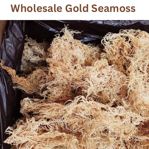 Wholesale St. Lucia Gold Seamoss