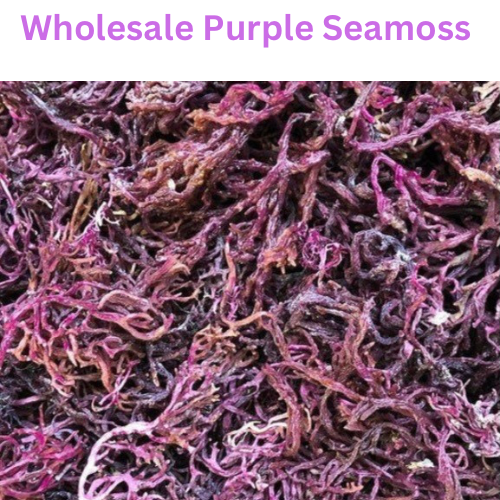 Wholesale St.Lucia Purple Seamoss